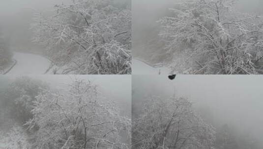 DJI_0048金华山双龙景区 雪景高清在线视频素材下载
