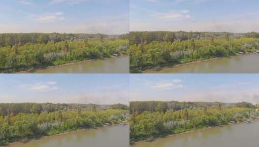 航拍河边森林景观慢动作高清在线视频素材下载
