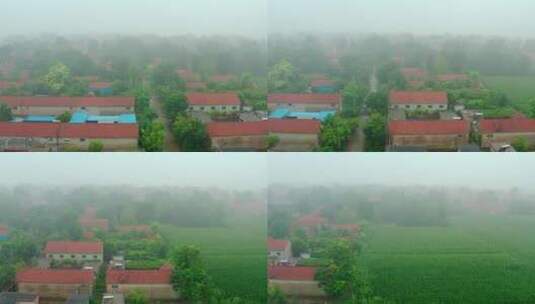 晨雾中的绿色乡村高清在线视频素材下载