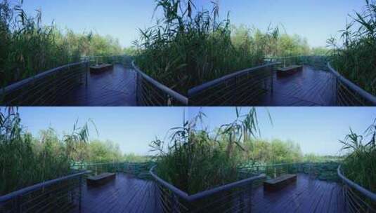 武汉东湖生态旅游风景区高清在线视频素材下载