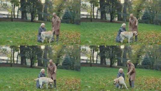 两位老人在公园草地上逗狗高清在线视频素材下载