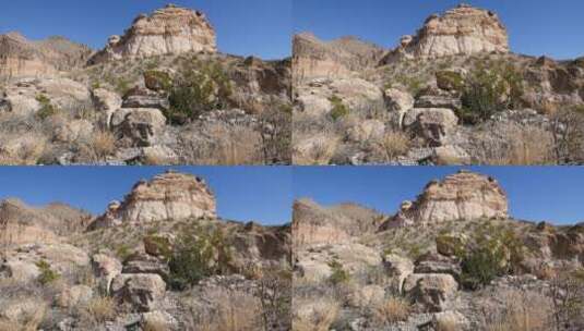 大弯岩石和油灌木景观高清在线视频素材下载