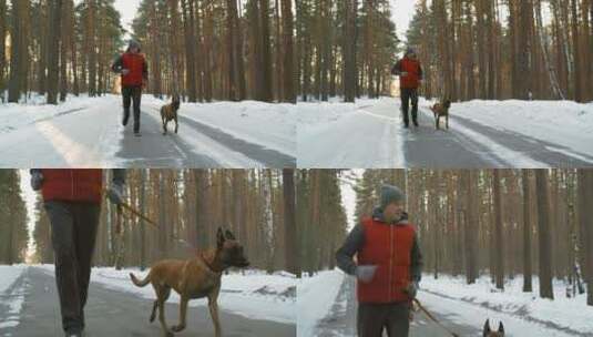 冬天森林道路上男人和牧羊犬跑步高清在线视频素材下载