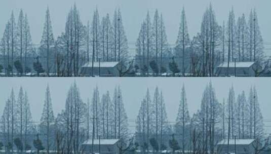 冬天农村下雪慢镜头4K实拍空镜高清在线视频素材下载