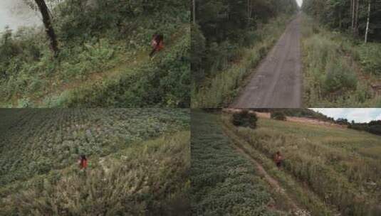 长白山的女摄影师高清在线视频素材下载