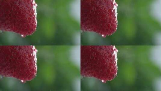 草莓上的水滴缓慢落下高清在线视频素材下载
