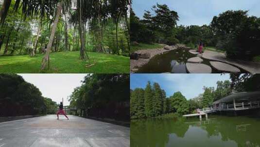 广州华南植物园fpv穿越机航拍剪辑版4K50帧高清在线视频素材下载