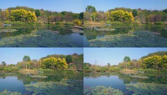 南宁青秀山公园湖泊树林自然风光高清在线视频素材下载