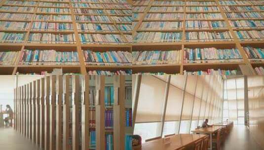 图书馆图书书籍书店书海自习知识海洋高清在线视频素材下载