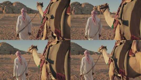 阿拉伯人牵着骆驼穿越沙漠高清在线视频素材下载