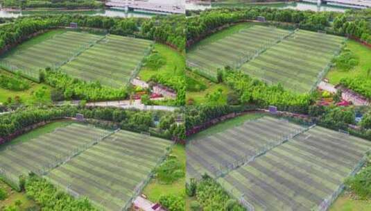 航拍郑州足球公园足球场高清在线视频素材下载