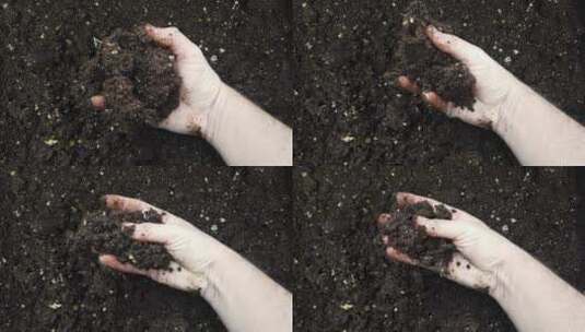 农民手拿黑色有机土壤查看土壤状态！高清在线视频素材下载