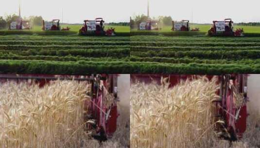 农业根基农忙机械化收割高清在线视频素材下载