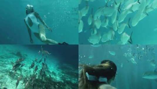 比基尼美女潜水鱼群海龟珊瑚礁阳光菲律宾高清在线视频素材下载