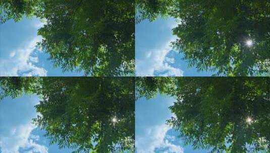 重庆夏季阳光森林空镜高清在线视频素材下载
