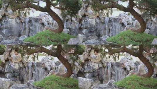 传统中式园林花园假山太湖石高清在线视频素材下载