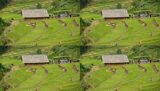 农场的房子被水稻梯田包围在山谷-萨帕越南3高清在线视频素材下载