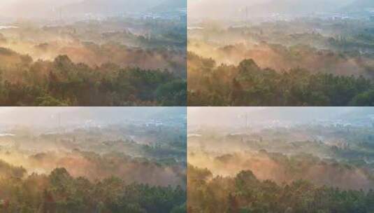 杭州秋天 西溪湿地 手摇船 湿地博物馆高清在线视频素材下载