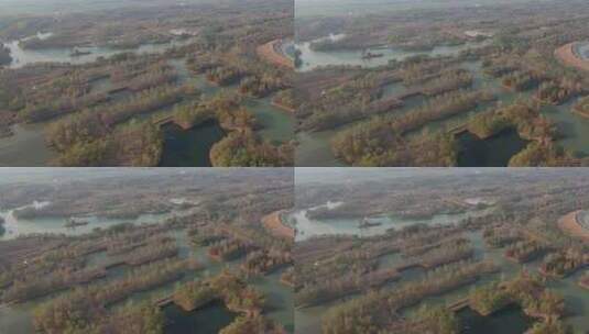 航拍济南平原田野农业湿地自然风光高清在线视频素材下载