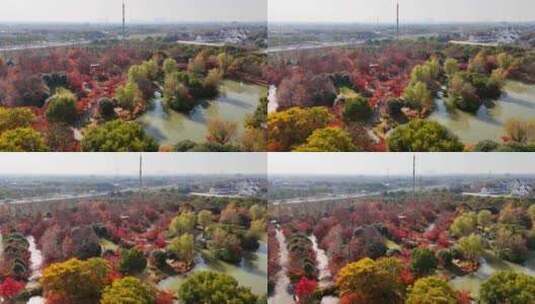 航拍生态公园秋季景色高清在线视频素材下载
