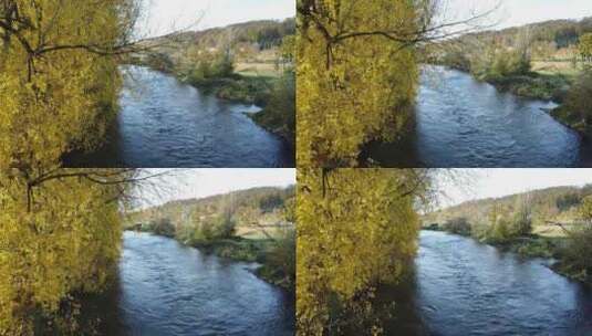 秋天河流树木高清在线视频素材下载