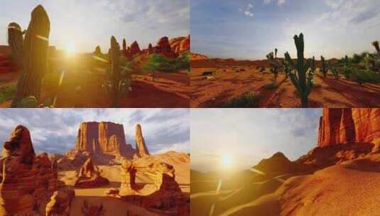 沙漠植物和荒凉隔壁地貌景观高清在线视频素材下载