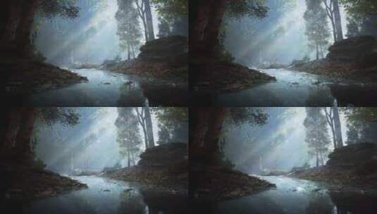森林小溪流水场景背景高清在线视频素材下载