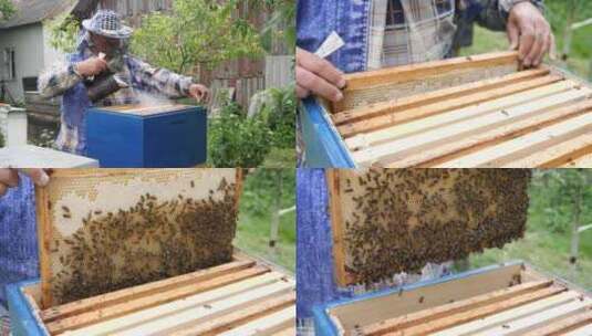 养蜂人仔细检查装满蜜蜂和蜂蜜的框架。高清在线视频素材下载