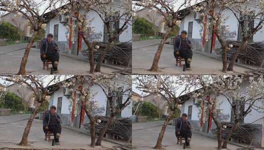 相机高清摄乡村屋前樱桃树下的农民老汉1高清在线视频素材下载