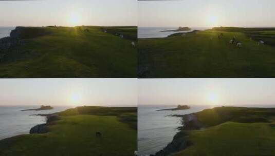 野马和美丽的日落鸟瞰壮观的海洋景色高清在线视频素材下载