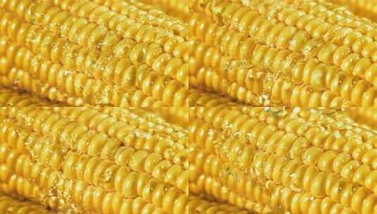 玉米-苞谷-玉米特写-杂粮食材高清在线视频素材下载