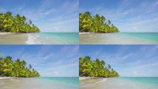大海沙滩椰子树高清在线视频素材下载