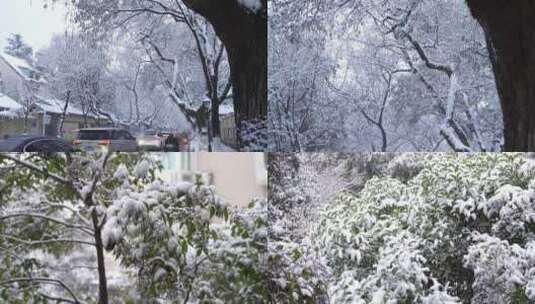 路边雪景南京颐和路雪景大雪纷飞高清在线视频素材下载
