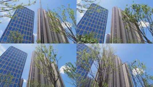 透过树枝仰视高楼大厦高清在线视频素材下载