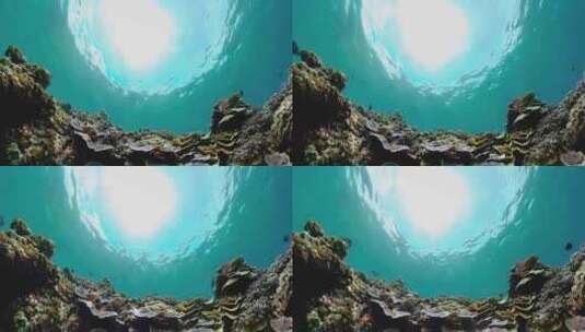 海底视角-海面波光粼粼高清在线视频素材下载