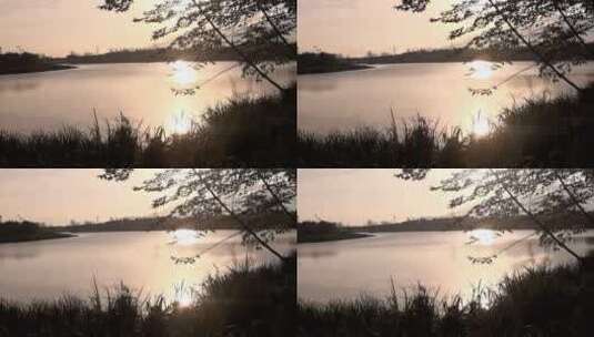 优美宁静的江景  平湖水波纹高清在线视频素材下载