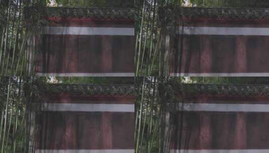竹林墙壁诗词空镜高清在线视频素材下载