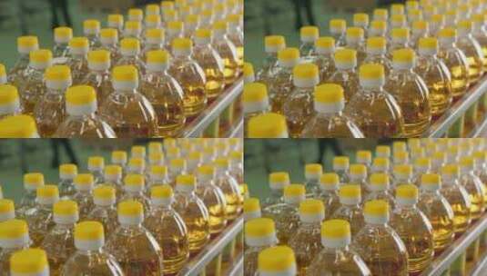 生产线上的葵花籽油高清在线视频素材下载