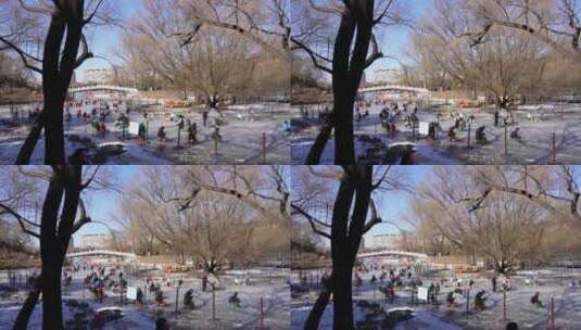 网红冰车滑冰冰刀雪场紫竹院公园高清在线视频素材下载