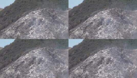 大火烧毁的灌木丛高清在线视频素材下载