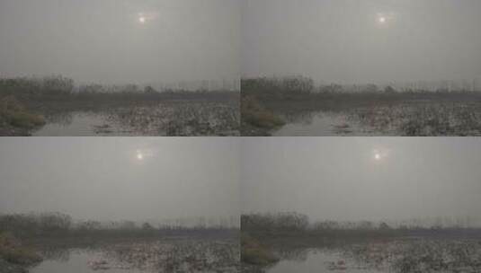 冬季的藕塘LOG视频素材高清在线视频素材下载
