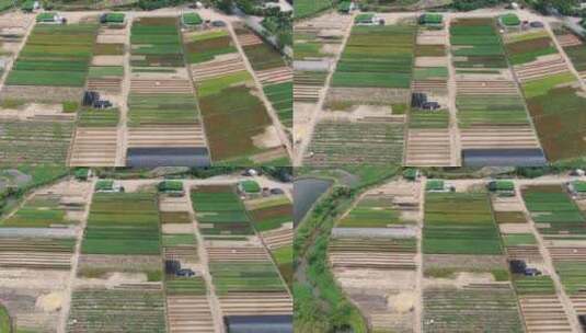 航拍乡村田园农业种植高清在线视频素材下载