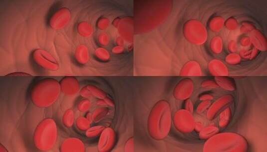 血管内流动的血细胞动画高清在线视频素材下载