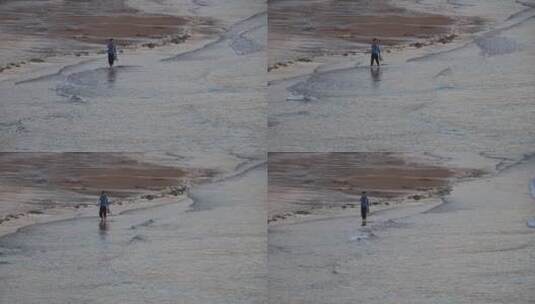 海边沙滩上溜达的一个人高清在线视频素材下载