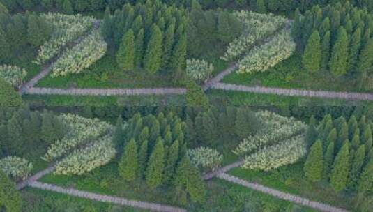 傍晚时分的南滇池国家湿地公园航拍高清在线视频素材下载