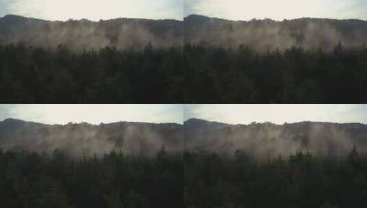 森林河流水汽雾气大自然 (4)高清在线视频素材下载