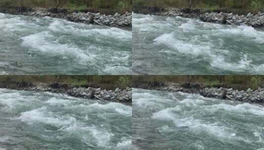 清澈河水湍急水流高清在线视频素材下载