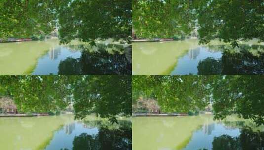 池塘边树荫高清在线视频素材下载