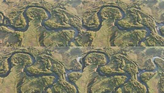 航拍扎敦河湿地秋季原野河湾高清在线视频素材下载
