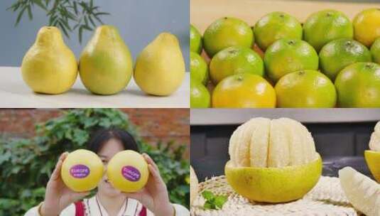 柚子合集高清在线视频素材下载